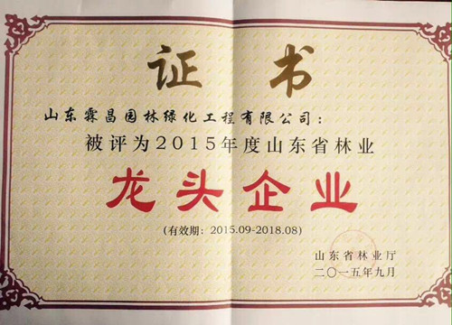 公司荣获山东省林业龙头企业殊荣